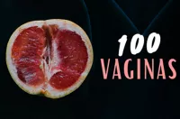 100-vaginas image