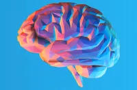 How-to-understand-consciousnesss image