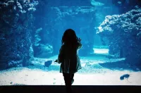 Beyond-innocence-or-guilt image