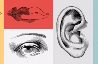 Philosophy-of-the-Senses image
