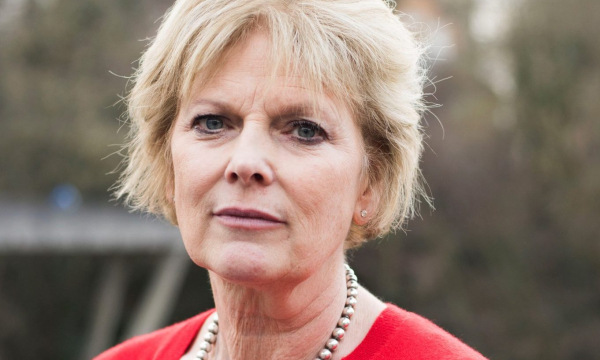 Anna Soubry hay 23 previous