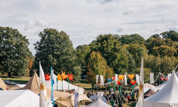 An outdoor festival scene with colorful decorations, tents, and a crowd of people among trees under a partly cloudy sky.