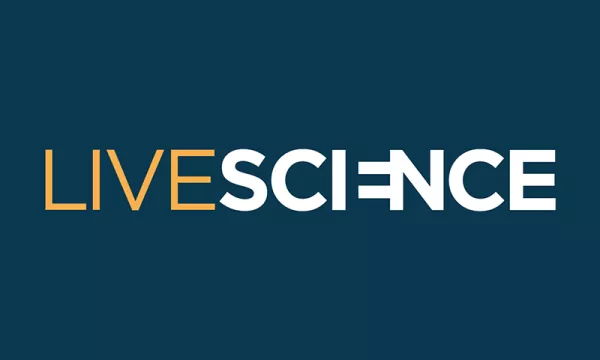 LS-Logo
