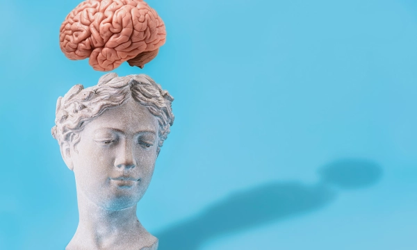 A classical marble bust of a woman's head with a realistic brain positioned above it, set against a bright blue background.