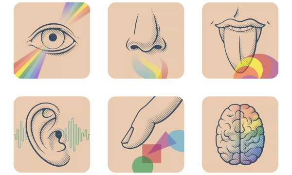 Illustrations depicting the five senses: eye (sight), nose (smell), tongue (taste), ear (hearing), hand (touch), and brain (processing sensory information).