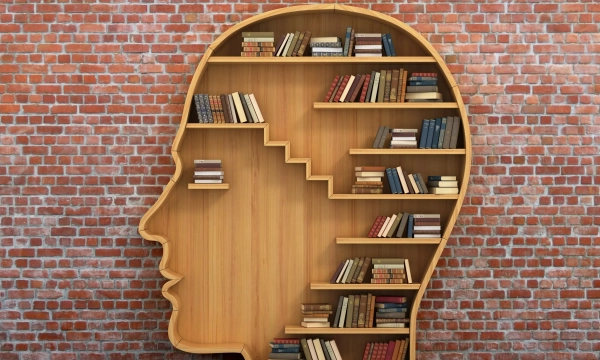 A wooden bookshelf shaped like a human head, featuring various books on its shelves, set against a brick wall.