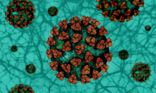 Illustration of a coronavirus particle surrounded by smaller virus spheres, set against a turquoise background with abstract patterns representing a cell structure.