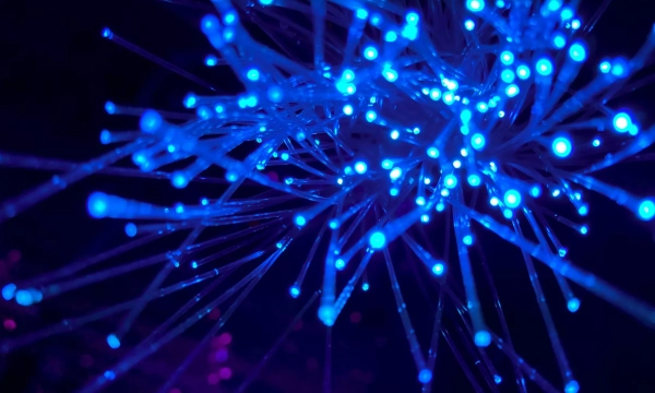 Abstract close-up of glowing blue and purple fiber optic strands emitting light, creating a vibrant, dynamic appearance.