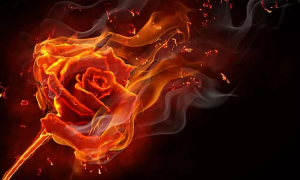 A fiery rose composed of flames and smoke against a dark background, showcasing vibrant orange and red hues with delicate petals and an elegant stem.