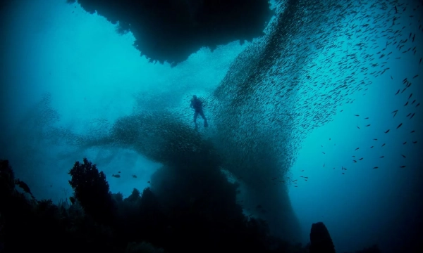 A diver exploring an underwater scene surrounded by a swirling school of fish, illuminated by soft blue light filtering through the water.