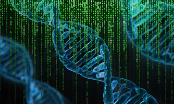 A digital representation of DNA strands intertwined with green binary code, symbolizing the intersection of genetics and technology.