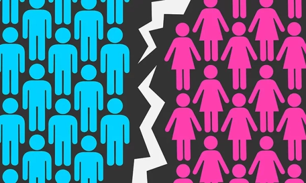 Illustration contrasting blue male figures on one side and pink female figures on the other, separated by a jagged line, symbolizing gender distinction.